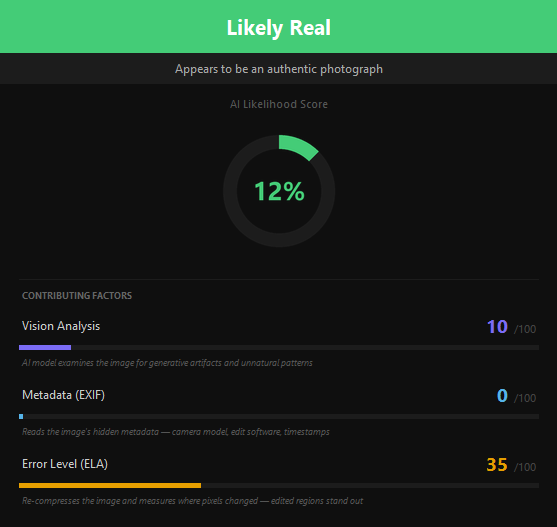 AIVerify result showing Likely Real verdict